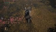 Defeat the scarab for Golden Slam (Image via EternityInGaming/YouTube)